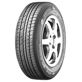 205/55R16 Greenways 91Y