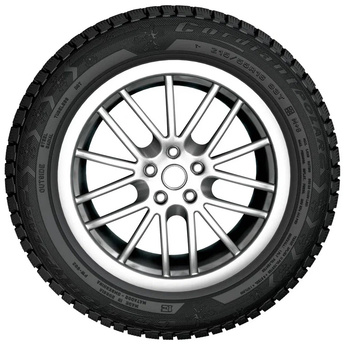175/65R14 Polar 2 82Q  шип.